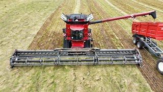 CASE IH 9260 AXIAL-FLOW Harvesting Different Crops with MacDon FD250 50 ft. Header