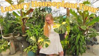 Lush LUXURY Houseplant Tour  Lets Go Plant Shopping Together!