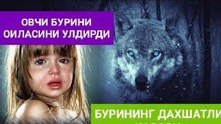 Бурининг дахшатли касоси Дахшатли булган вокеа #йирткичлар #бурилар