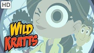 Wild Kratts  Who Is Martin Talking To? | Kids Videos