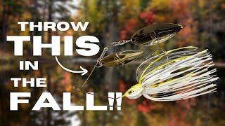 Throw THIS Spinnerbait In The FALL!!