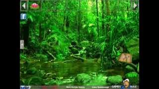 Nature Green Forest Escape Video Walkthrough