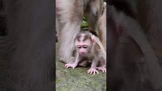 Great Job!! Best Mom Well Take Care The Little Baby #shorts