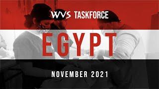 WVS Taskforce, Episode 4: Veterinary Surgical Training in Egypt