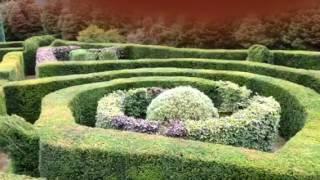 Conwy valley maze