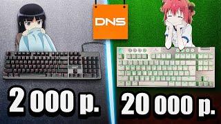 The Cheapest VS the Expensive Mechanical Gaming Keyboard from DNS . Which is better?