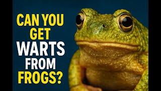 You’ve Been Lied To About These Animals! Shocking Animal Myths EXPOSED! 2025