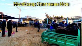 Молбозори Спитамен Нов. Қуйлар Новвослар Нархлари. Бозор Зур Булди. 10.11.2024.