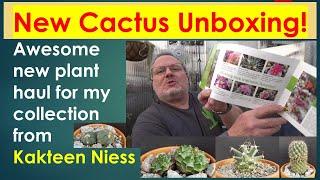 Unboxing New Cacti For My Cactus Collection & Greenhouse | Plant Haul | Kakteen Niess #cacti  #unbox