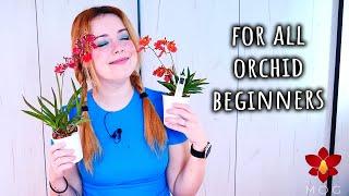 Advice I would give my Orchid beginner self - Orchid Care for Beginners