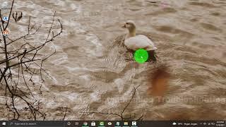 Windows 10 Home : How to Start or Stop Recommended Troubleshooting Service