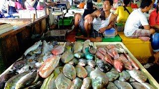 A Quick Tour around the Jimbaran Fish Markets | Bali, Indonesia