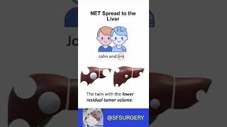 Surgery for Neuroendocrine Liver Metastases (NELMs): Debulking Thresholds and Residual Tumor Volume