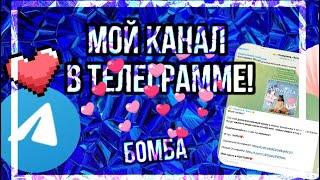 Мой канал В ТЕЛЕГРАММЕ! | Animal jam | Энимал джем | Телеграмм | Симулята #animaljam #aj #ajpw