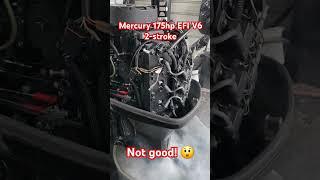 Mercury 175hp EFI V6 2-stroke. Water coming out of hose. ‎@OutboardMadness  #outboardmadness
