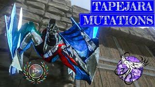 FULLY MUTATED TAPEJARA | Mutations Evolved | ARK Survival Evolved Mobile