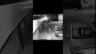 Unbelievable Cat Talent: Dancing or Skinwalker? 