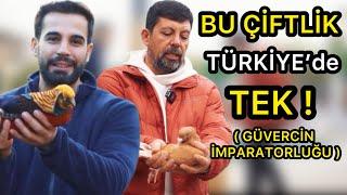 LÜKS GÜVERCİN İMPARATORLUĞU ! - SİSTEME ŞOK OLACAKSINIZ !