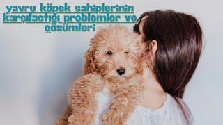 Yavru Köpek Sahiplerinin Karşılaştığı Problemler ve Çözümleri