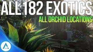 All 182 Exotic Item locations: All Orchids, Eggs & Birds - Red Dead Redemption 2