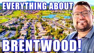 BRENTWOOD CALIFORNIA 2023: A Charming Town In The San Francisco Bay Area |  Living In Brentwood CA