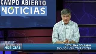 Terramater - Campoabierto TV
