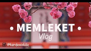 MEMLEKET (VARTO) VLOG ️ •Keçi sağdım,ata bindim,ekmek pişirdim