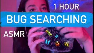 ASMR noa | 1 hour of bug searching