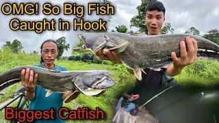 OMG!  So Big Fish Caught in Hook 🪝|| Biggest Catfish Ever Caught in Village || Fishing Video