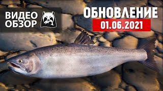 Русская Рыбалка 4 - обзор обновления от 01.06.2021 с рекой Яма