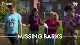 Missing Barks | Wild Scene Investigation | हिन्दी | Nat Geo Wild