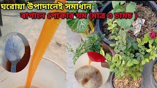 বাগানে পোকার যম এই ৩টি ঘরোয়া উপাদান // how to make  pesticides easyly at home using 3 ingredient 