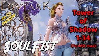 Lost Ark SOULFIST "Robust Spirit" : Tower of Shadow 1-34 with PvE & RAID builds