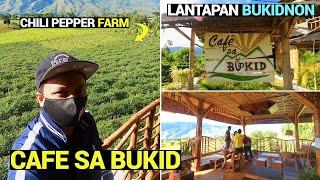 CAFE SA BUKID | LANTAPAN BUKIDNON | CHILI PEPPER FARM | MINDANAO PHILIPPINES 2020 | TRAVEL VLOG