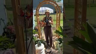 Good Luck Garden! #sahm #gardening #voiceover #beginnergardener #gardendiy