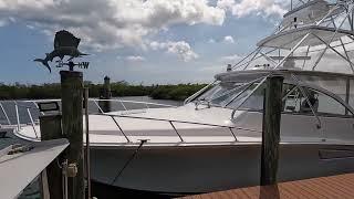 Cabo 41 Express 2020 Yacht for sale