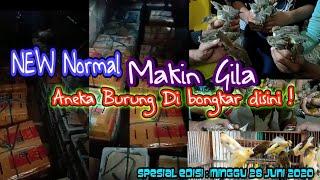MURAH.!!! TOKO BURUNG PALING RAME DI INDONESIA