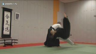 Aikido - Gyaku Hanmi Katate Dori Irimi Nage