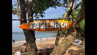 Jungle Beach w Galle: Ukryty Tropikalny Raj na Sri Lance #srilanka #travel #beach #tropical