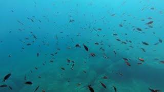 Sea cave and shoals of fish in Kissamos bay