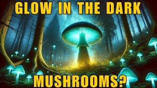 Bioluminescent Mushrooms: Nature’s Glow-in-the-Dark Fungi! 2025