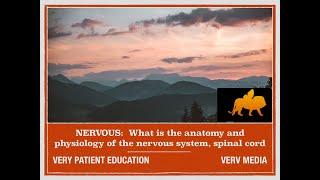 VERY PATIENT EDUCATION NERVOUS:  The anatomy and physiology of the nervous system, cerebral cortex?