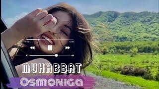 Muhabbat osmoniga |#premeyra | Мухаббат осмонига |#begzodbek_qodirov |