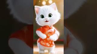 Aju ki Bili #punjabisong #bili dance#cate dance