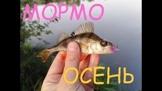 Мормышинг Осень Фиолетовая Танта DEMONIO FISHING