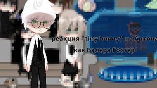 реакция tiny bunny на Антона как "Валера Гостер" дисклеймер в описании!