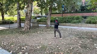 Freestyle Baguazhang 358