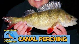 Perch Fishing on the canal (Video 48)