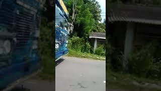 Nil akuna bus