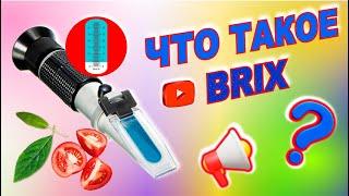 Что такое BRIX в ТОМАТНОЙ ПАСТЕ. Процент сухих веществ в томатной пасте.